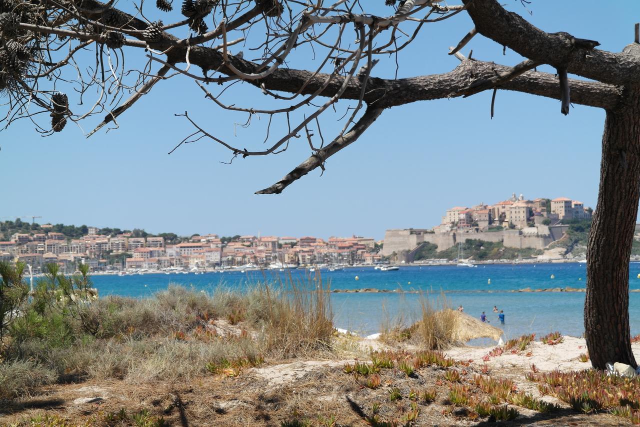 Residence Thalassa Calvi  Eksteriør bilde