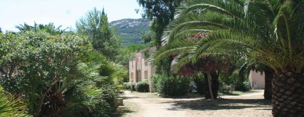 Residence Thalassa Calvi  Eksteriør bilde